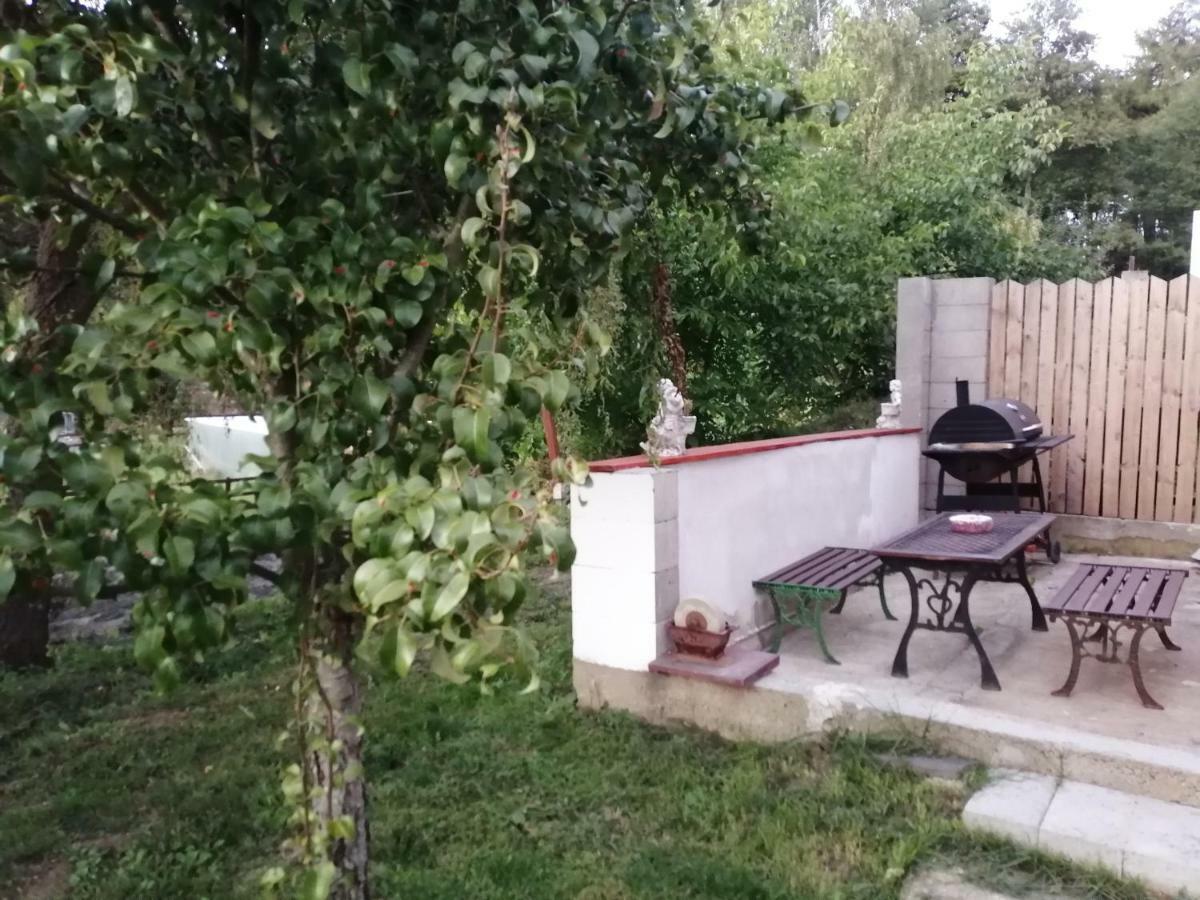 Villa Na Červené louce relax 1 Cheb Exterior foto